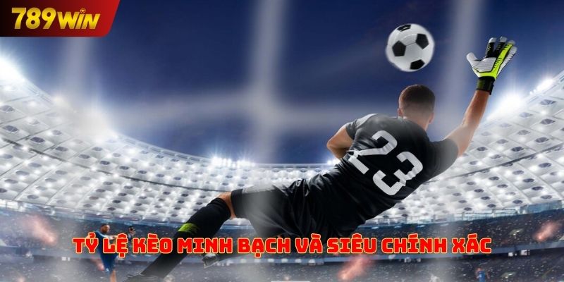 Tỷ lệ kèo minh bạch và siêu chính xác